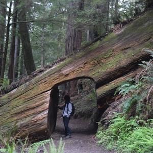 Meet your Posher, Lee